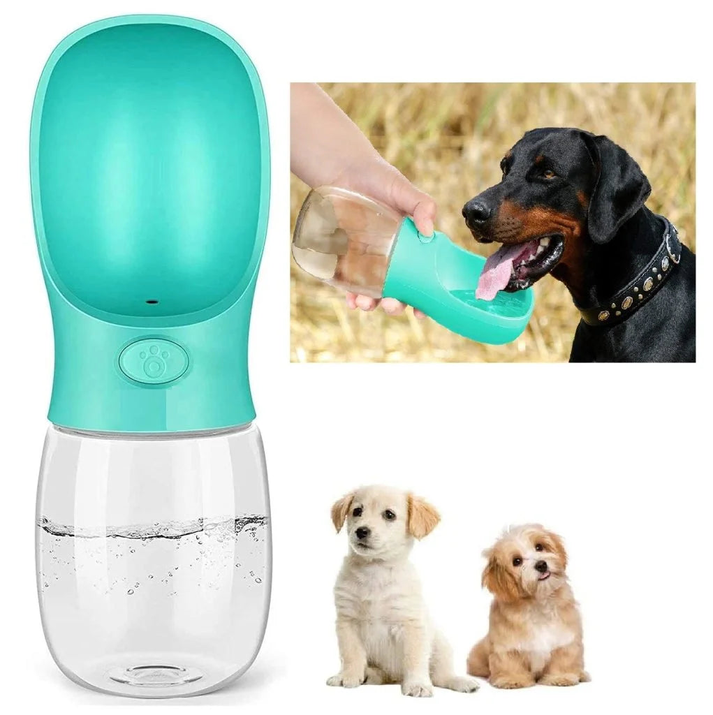 PET WATER BOTTLE